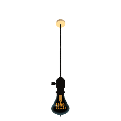 Shelby 1901 Bulb