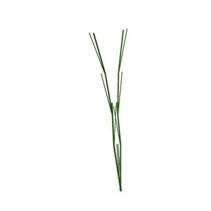 Vines 2