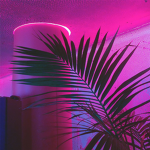 ⋆ ᴇᴍɪʟʏ ᴀɴᴅ ᴍᴇʟ'ꜱ ᴄʟᴏᴛʜɪɴɢ ꜱᴛᴏʀᴇ ⋆