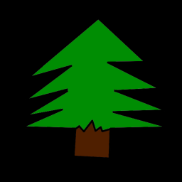 The pine forest