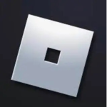 robloxxxx funds