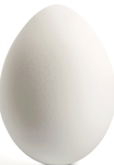 The Egg Fans