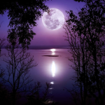 Moonjoy