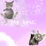 the best;