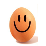 Egg Studio + Clothing