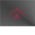 The Taureg Nation