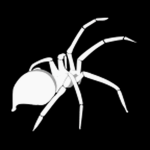 Exploit-Database