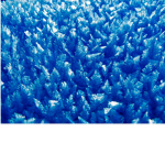 THE ICE BITES