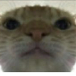 Youin Gang