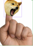 finger tribe
