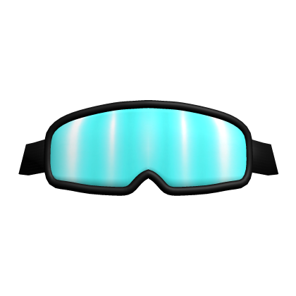 Teal & Black Ski Goggles