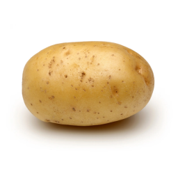 Potato Laptop Webcam