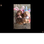 Hamster buns
