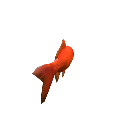 GoldFish