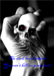 Dark brotherhood or the (DBH)
