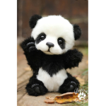 Join if u love pandas!
