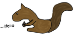 THE SQUIRREL'S GROUP