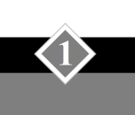 First Heavy Infantry Division of GANZA