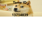 ャTames