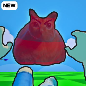 Don't Anger the cat 😡