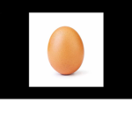 Egg_towar!