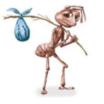 Papulinces