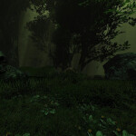 Midnight Forest [Loud sound warning]