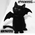 E P H E M E R A L ~