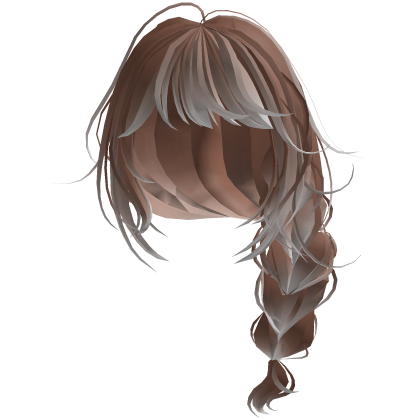 Cute Mocha Braided Hair