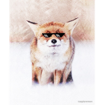 cutest foxes