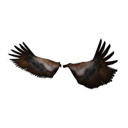 Glorious Eagle Wings