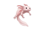 Axolotl‘s r me