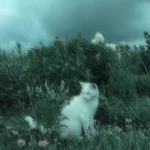 Wandering NPCS ( WCUE NPC HUNTING )