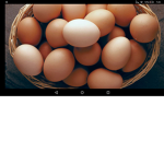 Egg evolved