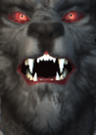 Kingkong_offical