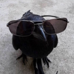 Crowshu