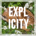 explicitly.