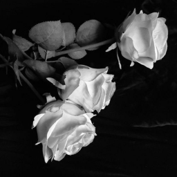 ୨୧