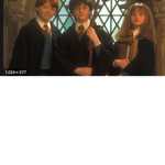 We Are The Harry Potter Fans!