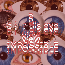 a birds eye view (impossible)