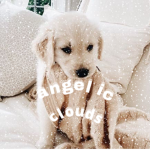 angelic cloud