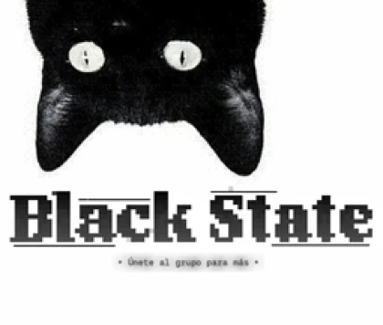 Black StateS Roblox group icon