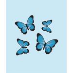 Lily’s Butterflys