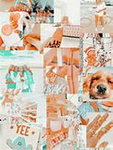 preppy vibes people only!