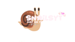 Snailsyt community!
