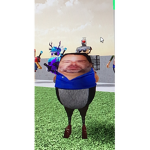 hxgle