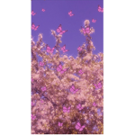 <3 aesthetics...... <3