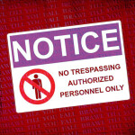 BRAWLR DEV SERVER™