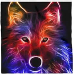 Nightfox Productions