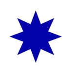 The Volunteer Army